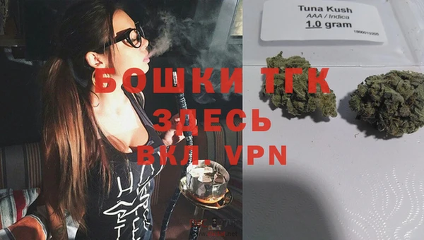 стаф Балахна