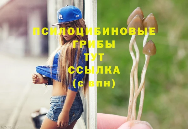 стаф Балахна
