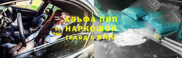 стаф Балахна