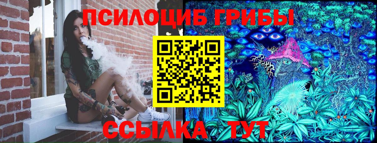 Кировск  дарнет шоп  Вход с VPN  Псилоцибиновые грибы мицелий  Псилоцибиновые грибы ЛСД 