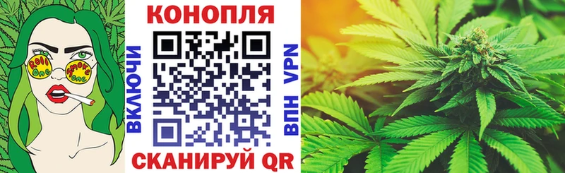 Бошки марихуана Amnesia  Кировск 